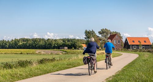 Fietsen door de polders van Zeeland 2