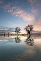 Flooding of the Meuse River