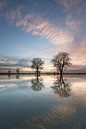 Overstroming van de Maas van Iris Waanders thumbnail