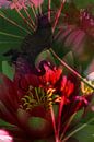 Droomwereld met bloemen en vogel von Anouschka Hendriks Miniaturansicht
