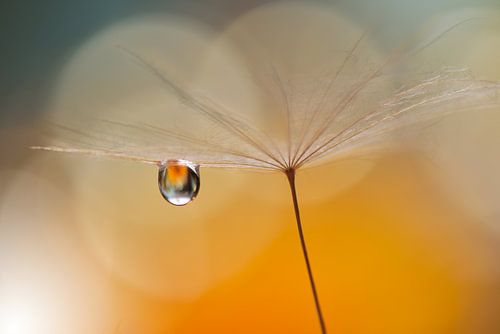 Petite musique de nuit... sur Juliana Nan