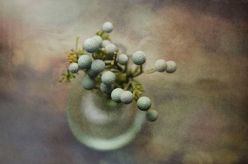 Exotic Texture  von Sara  Lee