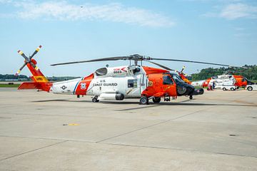 Twee Sikorsky MH-60T Jayhawks.