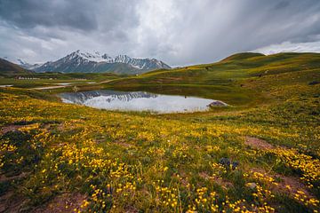 Kyrgyzstan's green valleys by Yvonne de Bondt