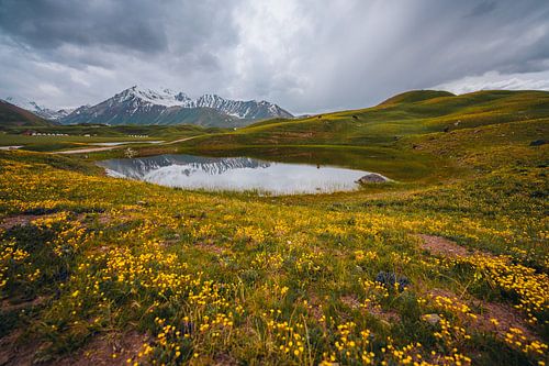 De groene valleien van Kyrgyzie