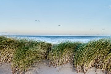 Dunes and sea by Sjoerd van der Hucht