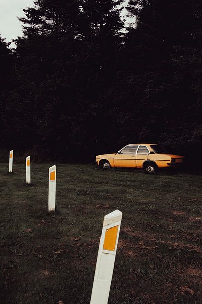 En voiture par Anjuska Slijderink