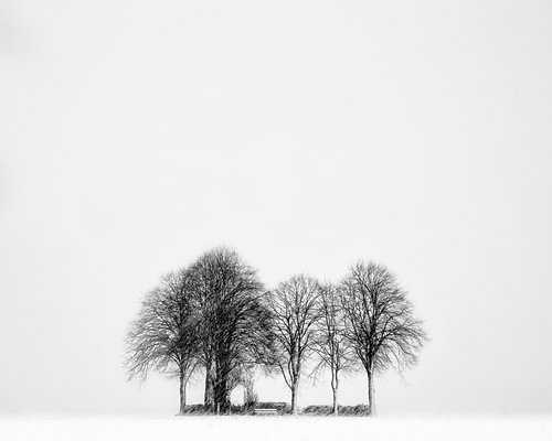 Sneeuw op de Es, Snow on the Es