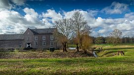 Schloss Terborgh von Ronald Massink