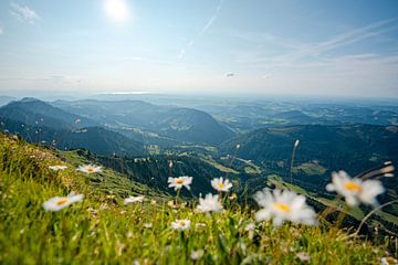 Schöner Sommer-Sonnentag am Hochgrat mit Blick auf den Bodensee von Leo Schindzielorz