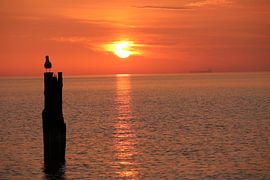 Usedom morgens von Daniel Loof