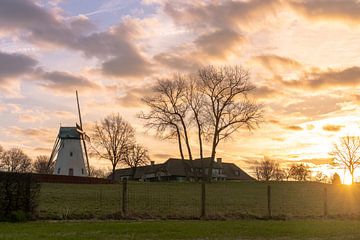 Bergmolen van Anzegem van Marcel Derweduwen