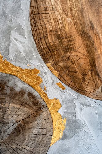 De strijd tussen twee boomstammen