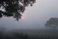 niemendal