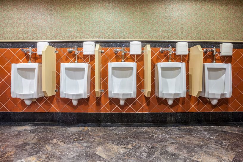 Urinoirs bij de mannen toilet van Marcel Derweduwen