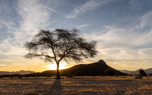 Het eerste licht van de dag