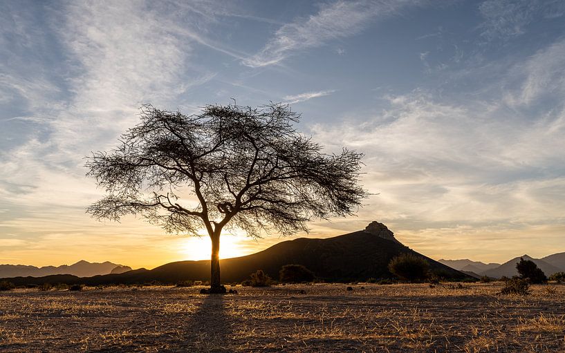 Das erste Licht des Tages von Jeroen Kleiberg