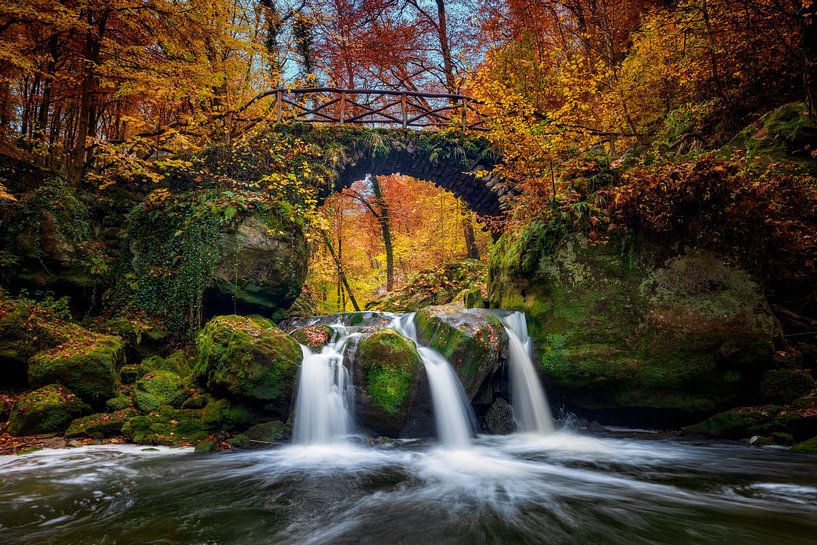 L'automne dans le Mullerthal - L'étang de tir par Dieter Meyrl