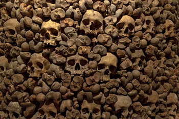 Haunting Memento Mori Human Skulls for Gothic Study Wall Decor