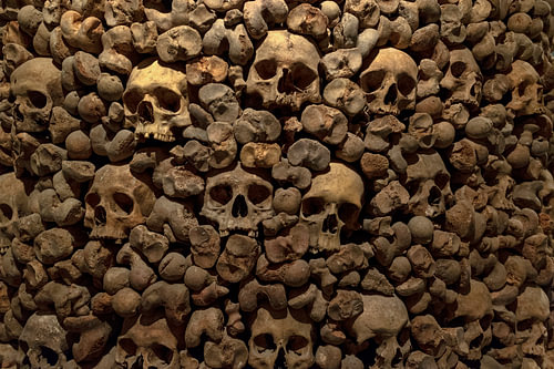 Haunting Memento Mori Human Skulls for Gothic Study Wall Decor