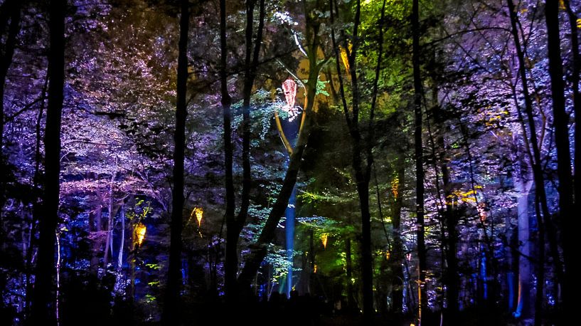 Colourful forest at night by Se(iz)e the moment