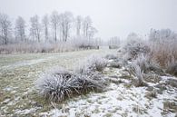 Winter in de Alblasserwaard van André Hamerpagt thumbnail