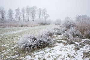 L'hiver dans l'Alblasserwaard sur André Hamerpagt