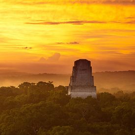 Maya Sunrise van Ralph van Krimpen