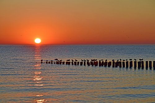 Zonsondergang Zoutelande, Blij dat ik hier ben (BLØF)