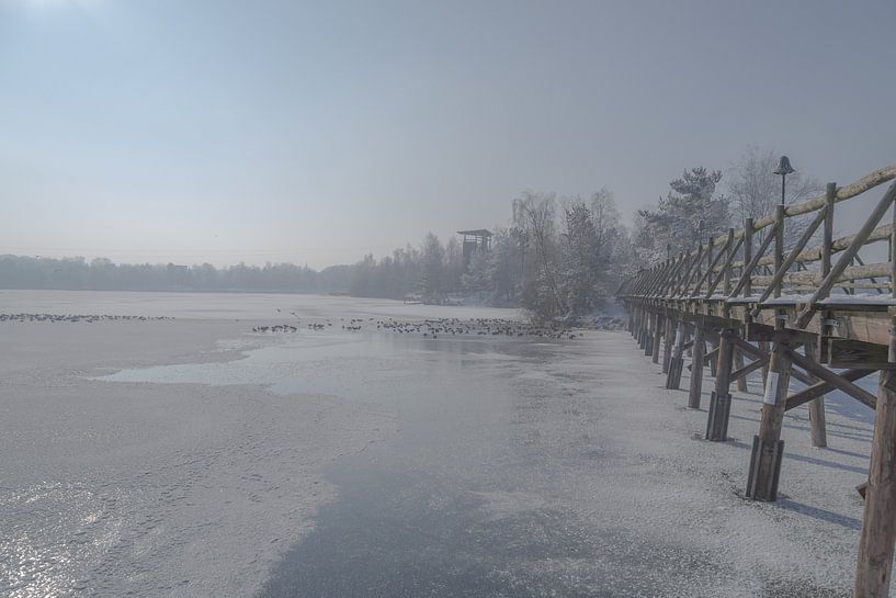 houten brug over een bevroren meer van FHoo.385