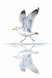 STILL – Möwe im Flug über spiegelglattem Wasser von Henk Egbertzen