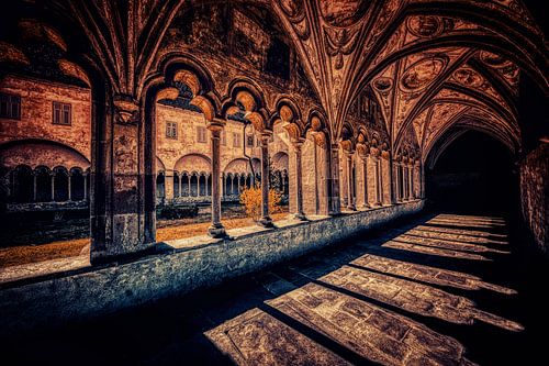 Exciting shadow games at the cloister promenade