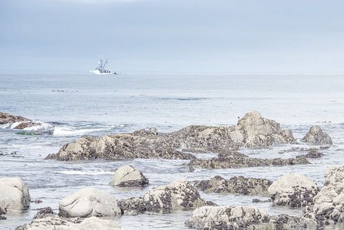 Fishing off the shore