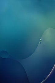 le monde du bleu sur hanny bosveld