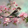 Frühlingsvogel auf einem blühenden Zweig in sanften Farbtönen von Joriali Fine Art