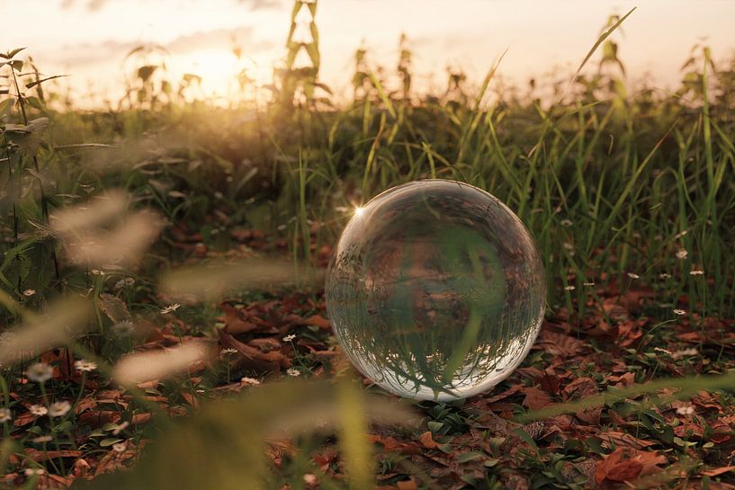 Glaskugel liegt auf Laubdecke im Abendlicht von Besa Art
