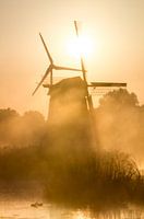 de gouden molens