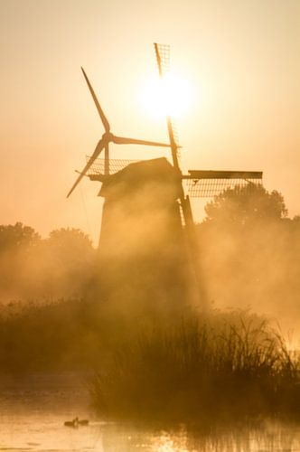 de gouden molens