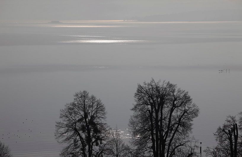 Bodensee von Thomas Jäger