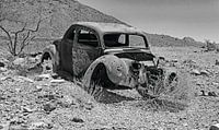 Arizona Desert by Willem van Holten thumbnail