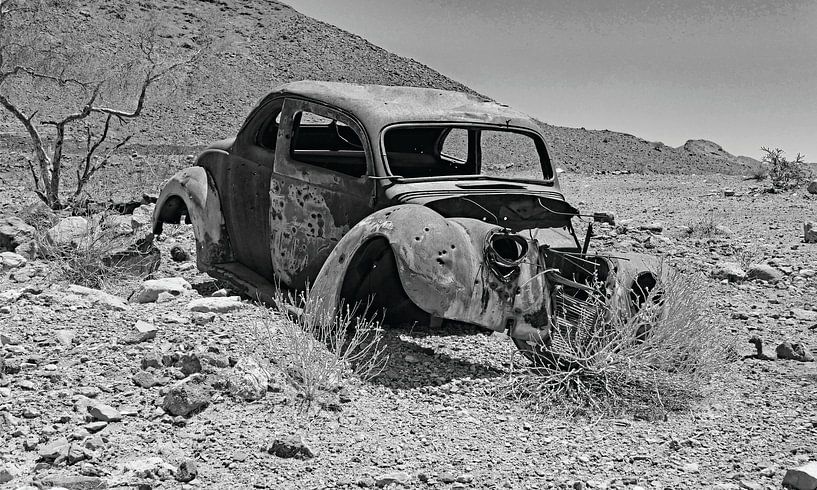 Arizona Desert by Willem van Holten