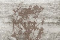 Wabi-Sabi Botanique sur texture de lin