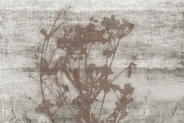 Wabi-Sabi Botanisch op natuurlijke textuur van Dina Dankers