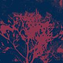 Abstracte botanische kunst. Organische vormen in donkerblauw en wijnrood. van Dina Dankers thumbnail