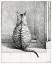 Sitzende Katze, von hinten (1812) Zeichnung von Jean Bernard von Dina Dankers Miniaturansicht