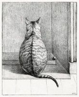 Sitzende Katze, von hinten (1812) Zeichnung von Jean Bernard
