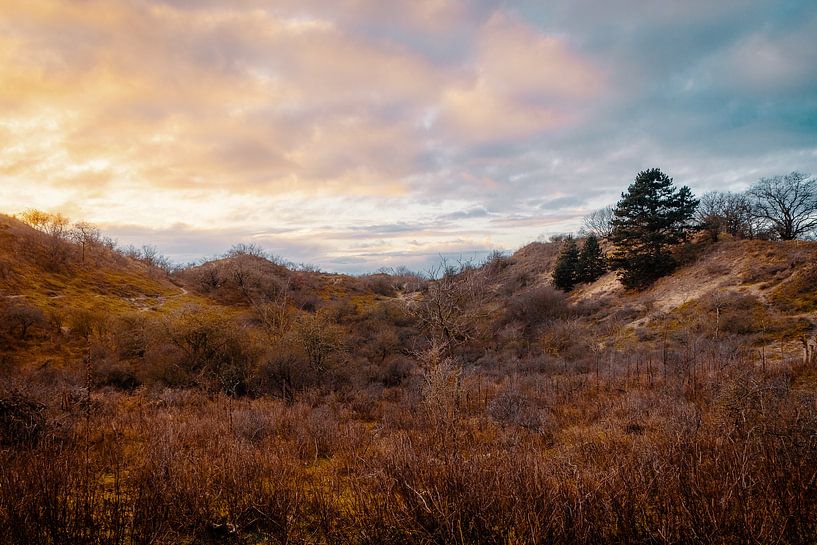 Coucher de soleil sur le Meijendel par Paul Poot