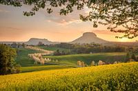 Lente in Saksisch Zwitserland