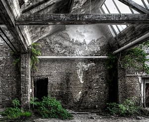 Abandoned Place - Salle de verdure sur Carina Buchspies