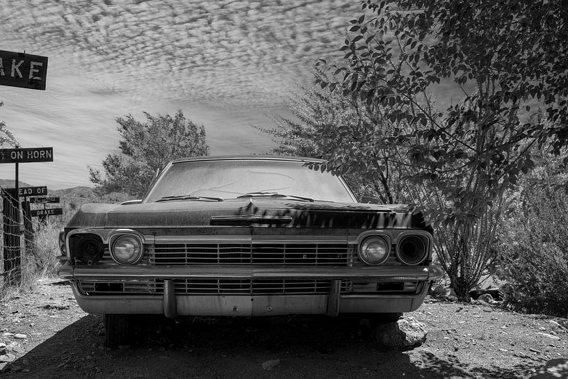 Alter Chevrolet im Garten zurückgelassen von Humphry Jacobs